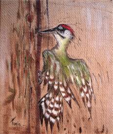 Tania OHSE - DSC03866.JPG