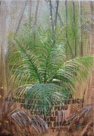 Tania OHSE - DSC02277.JPG