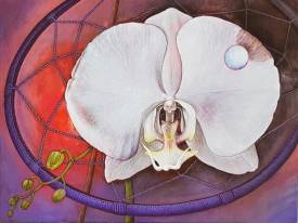 Daniel OLIVIER - Rêve d'orchidée