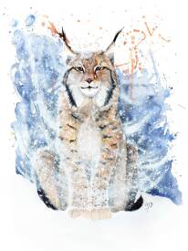 Marcelle PANTHÈRE - Lynx Résilience