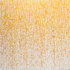 Isabelle PELLETANE - Golden rain