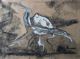 Carole PERO-GOBION - 2_Tentaculaire_original.jpg