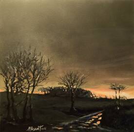 Jean Philippe PEYNET - 2015-2016 Série "Les aurores mayennaises"