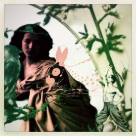 Anne PIA - IMG_1570.jpeg