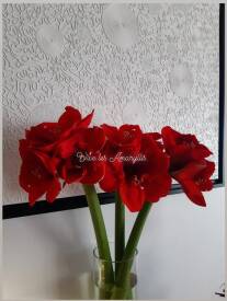 Patty PICARD - tableau blanc fleurs.jpg