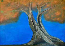 Pascal PILLONS - ENTRE CIEL ET MYSTERE