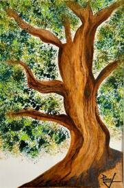 Pascal PILLONS - L'ARBRE DE LA CONNAISSANCE