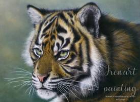 Irena Pinquié de Sainte Maresville - Kyaw, jeune tigre de Sumatra