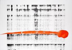 Philippe PITTONI - images 3.jpg