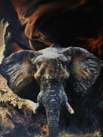 Nicolas PLANSON - Broken Tusk