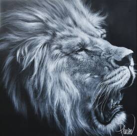 Nicolas PLANSON - Talamati