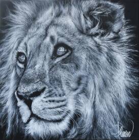 Nicolas PLANSON - Biyamiti