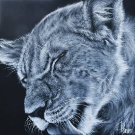 Nicolas PLANSON - Sirheni