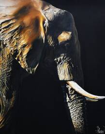 Nicolas PLANSON - L'Apprenti Sourcier