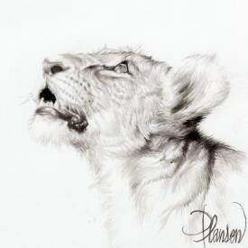 Nicolas PLANSON - Tau