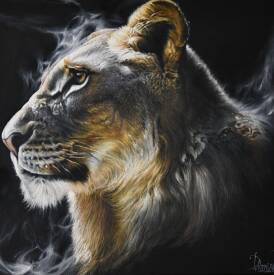 Nicolas PLANSON - Connected