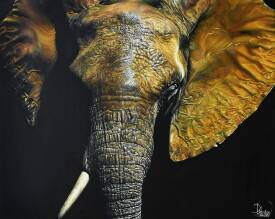 Nicolas PLANSON - Self Defense II