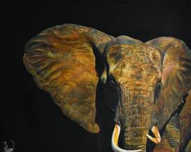 Nicolas PLANSON - Matière Grise ?