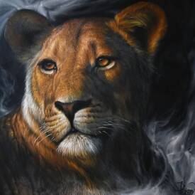 Nicolas PLANSON - Emergenc-y