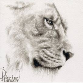 Nicolas PLANSON - Zariel