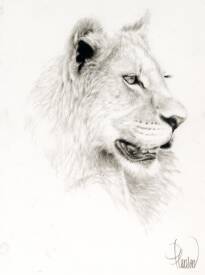 Nicolas PLANSON - Benroy