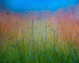 Daniel POLYAKOV - Just an autumn rain