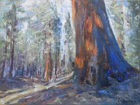 José POMARES - Séquoia 2 - 46 x 61 - 2023