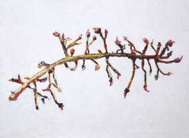 Margreth POREYKO - 58x78