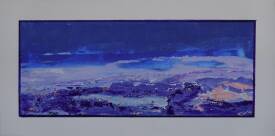 Dany PRUDHOMME - LE COELLO  60 X 30   2025.JPG