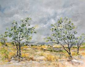 Régine R.DEVARREWAERE - Orage d’été sur le plateau Cordais