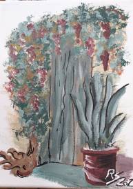 Stéphane REBEVIL - Vigne vierge et cactus