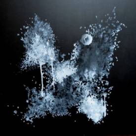 Clau Redier-Clément - Osmose