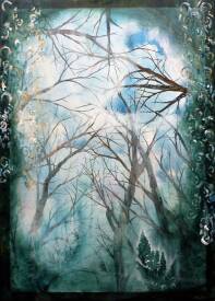 Anne ROBIN - A travers le givre