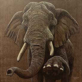 Jean Claude ROBLES - Le vieil éléphant