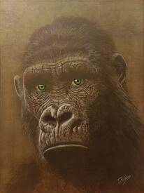 Jean Claude ROBLES - Le gorille aux yeux verts