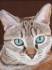 Rolande Cébollada - ROLCE Pastel - chat roux Valérie .jpg