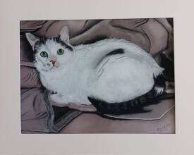Rolande Cébollada - ROLCE Pastel - chat blanc.jpg