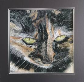 Rolande Cébollada - ROLCE Pastel - chat écailles de tortues.jpg