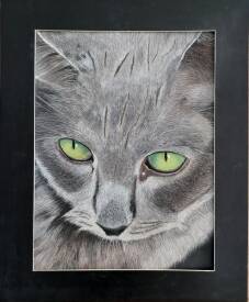 Rolande Cébollada - ROLCE Pastel - chat gris.jpg