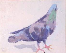Didier SABY - "U n pigeon "