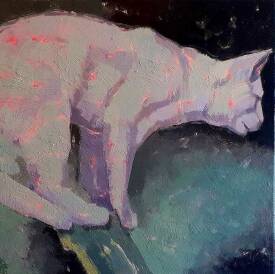 Didier SABY - "Chat blanc 4"