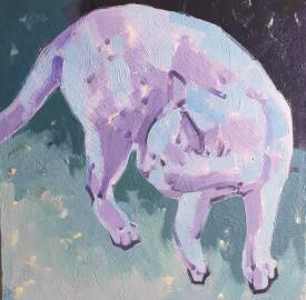 Didier SABY - "chat blanc 3"