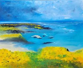 Dany SANTELLI - Penbrokeshire Coast Path (Wales)