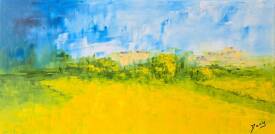 Dany SANTELLI - Champ de colza