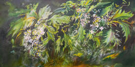 Mies SAVOYE - SAVOYE_Hydrangeas d'été