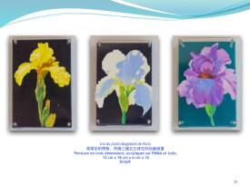 Yan SEVENIER MIN - Louanges d’Iris au jardin  de Bagatelle de Paris série de 16 pièces
