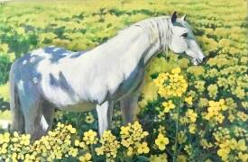 Yan SEVENIER MIN - Cheval Blanc