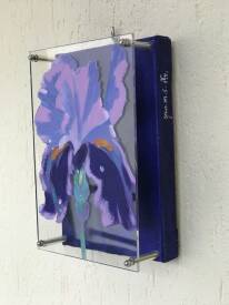 Yan SEVENIER MIN - Louanges d’Iris au jardin  de Bagatelle de Paris série de 16 pièces