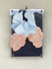 Yan SEVENIER MIN - Louanges d’Iris au jardin  de Bagatelle de Paris  série de 16 pièces