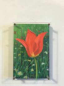 Yan SEVENIER MIN - Louanges de tulipe  rouge